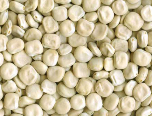 Recent Food Legislation Updates